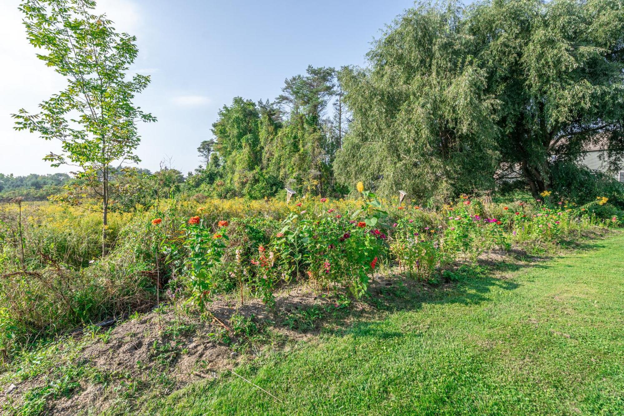 Saratoga Farmstead B&B Saratoga Springs Bagian luar foto