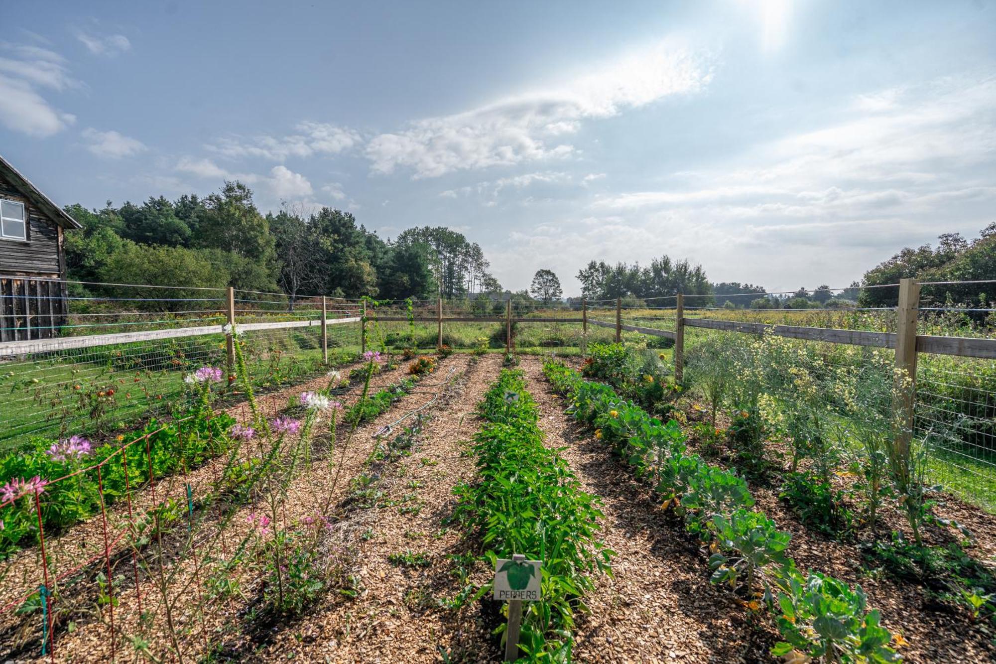 Saratoga Farmstead B&B Saratoga Springs Bagian luar foto