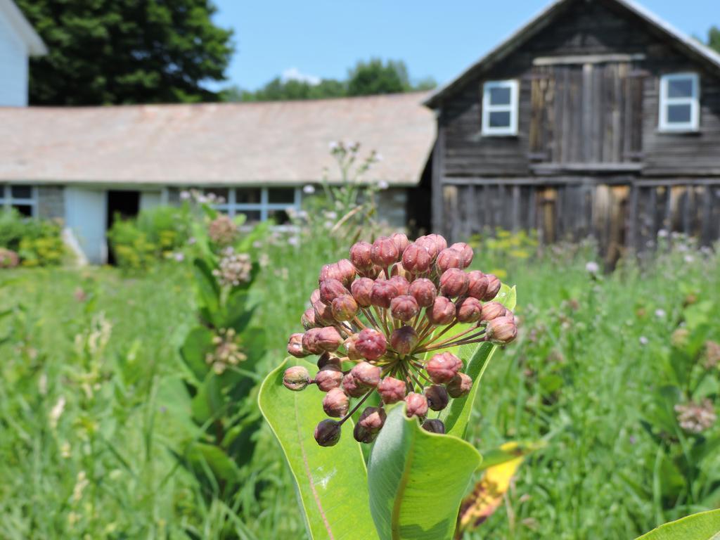 Saratoga Farmstead B&B Saratoga Springs Bagian luar foto